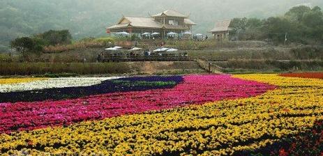 【潮汕2天高鐵團】開元寺、韓文公祠、礐石、丹櫻生態(tài)